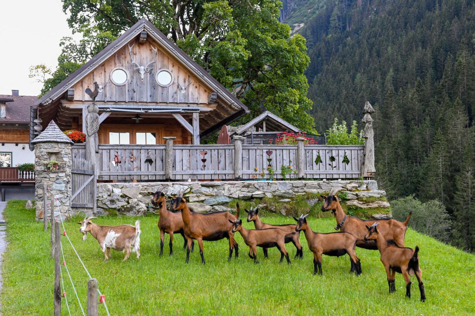 Strickhof Villa Schladming Luaran gambar