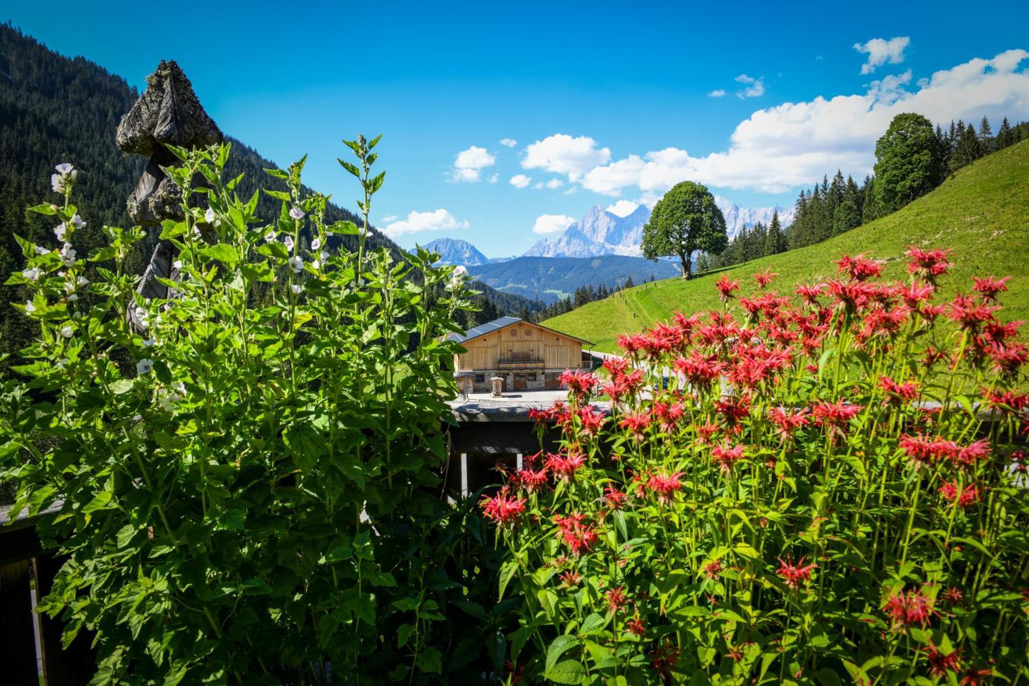 Strickhof Villa Schladming Luaran gambar